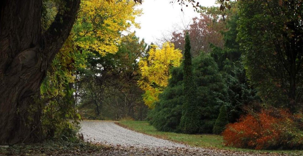 Starhill Forest Arboretum, United States